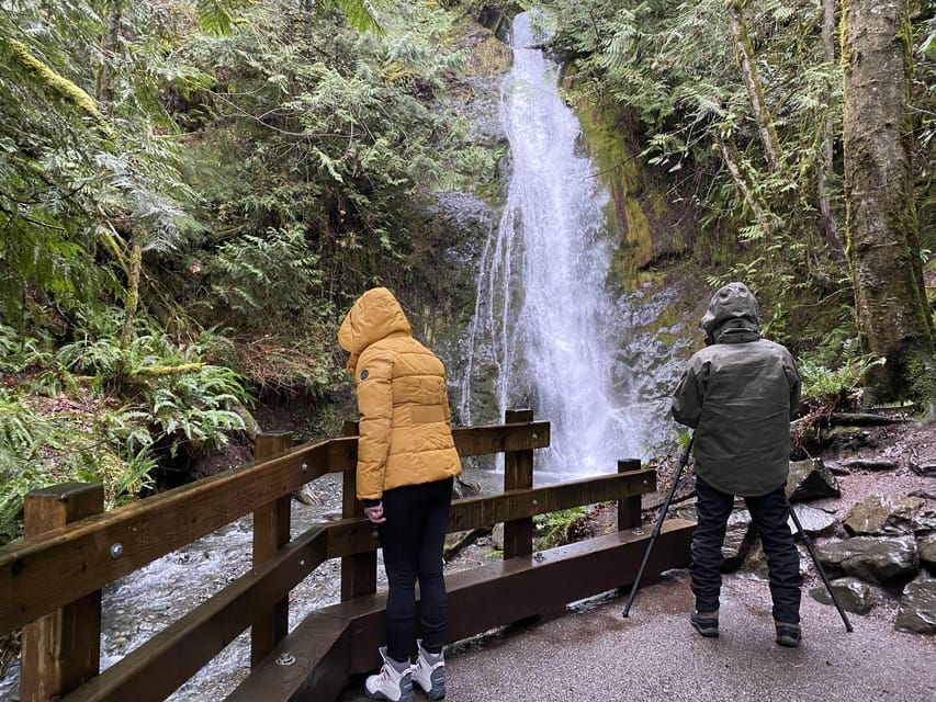 Olympic National Park: Half-Day Tour