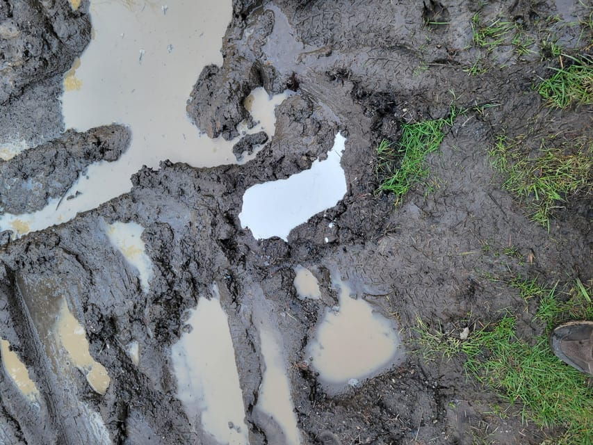 Oregon: the Bigfoot Tour With Museum, Hiking, and Casting