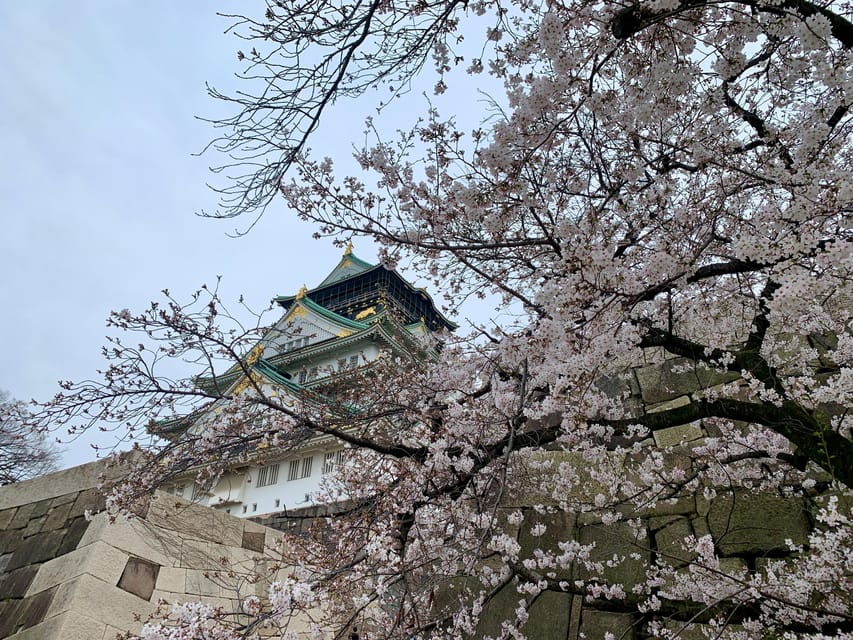 Osaka: Guided Walking Tour With a Native Expert – Top Sights - Tour Overview and Pricing