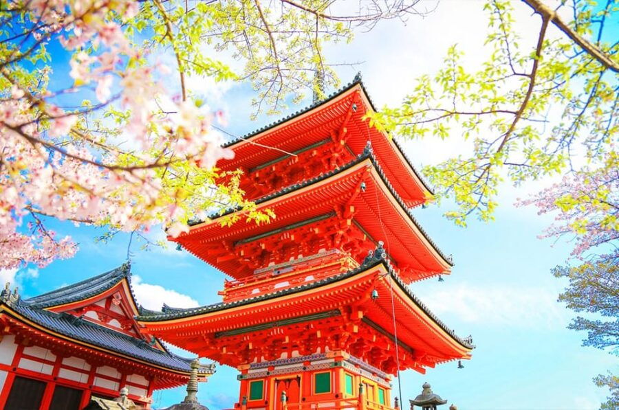 Osaka: Kyoto and Nara UNESCO World Heritage Sites Day Trip - Tour Overview and Pricing