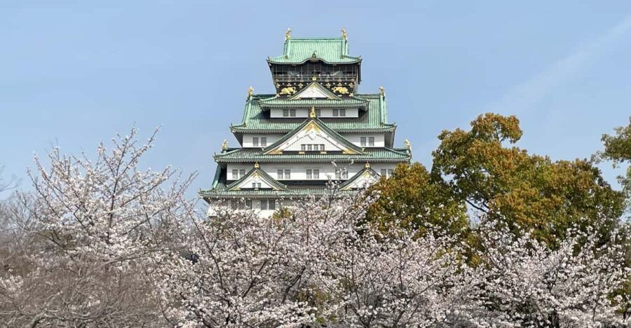 Osaka: Osaka Castle Tower Guided Tour