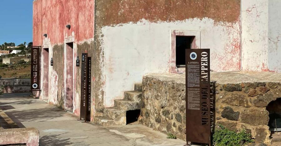 Pantelleria: Visit the Tastiest Museum Ever The Caper Museum