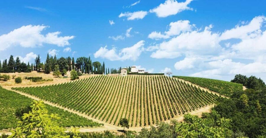 Peccioli Valdera 2 Hour E-Bike Guided Tour + Wine Tasting