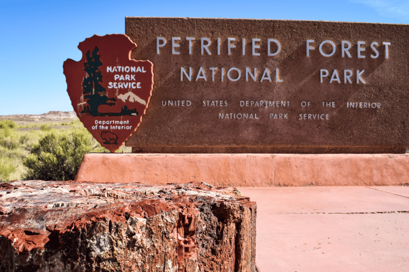 Petrified Forest: Ultimate Self-Guided Driving Tour