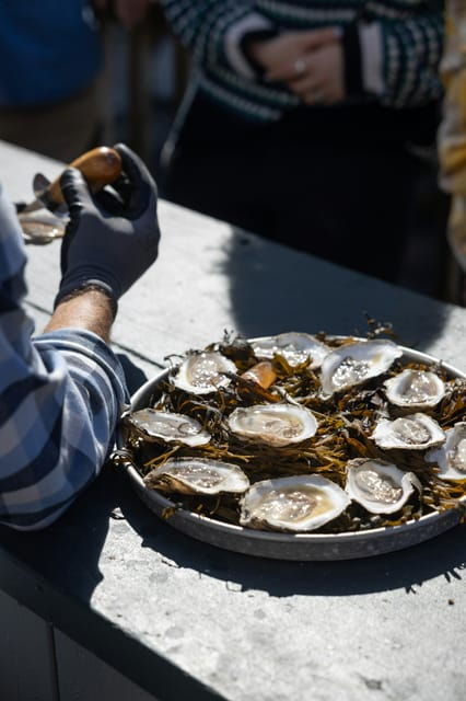 Phippsburg, ME: A Sunset Maine Oyster Tasting by the Coast - Activity Overview