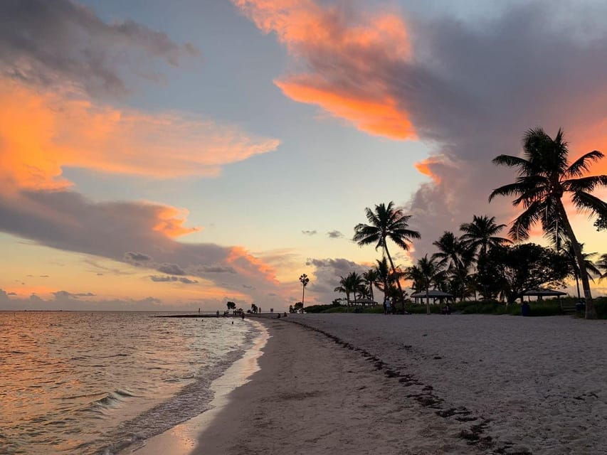 Phone Photography - Activity Overview