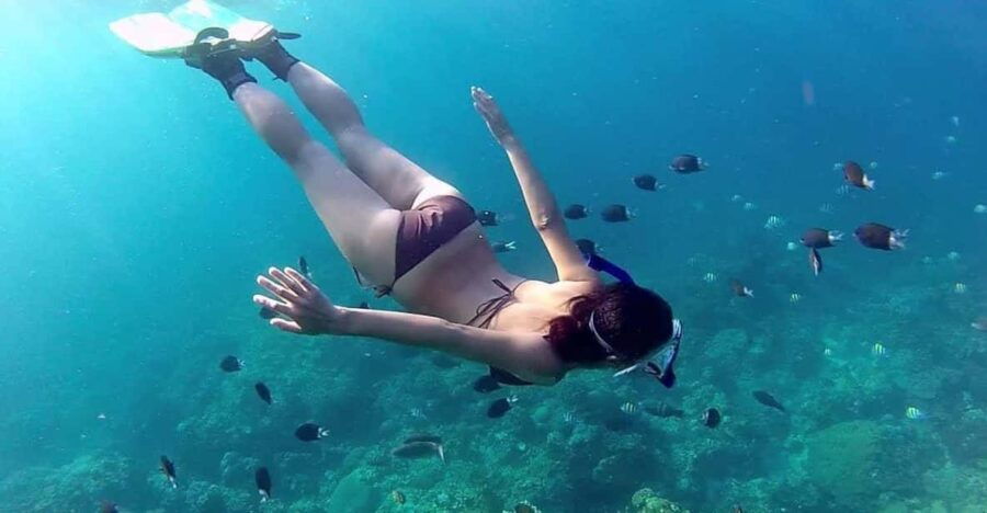 Phu Quoc Pro-Guided Coral Reef Diving Experience - Overview of the Experience