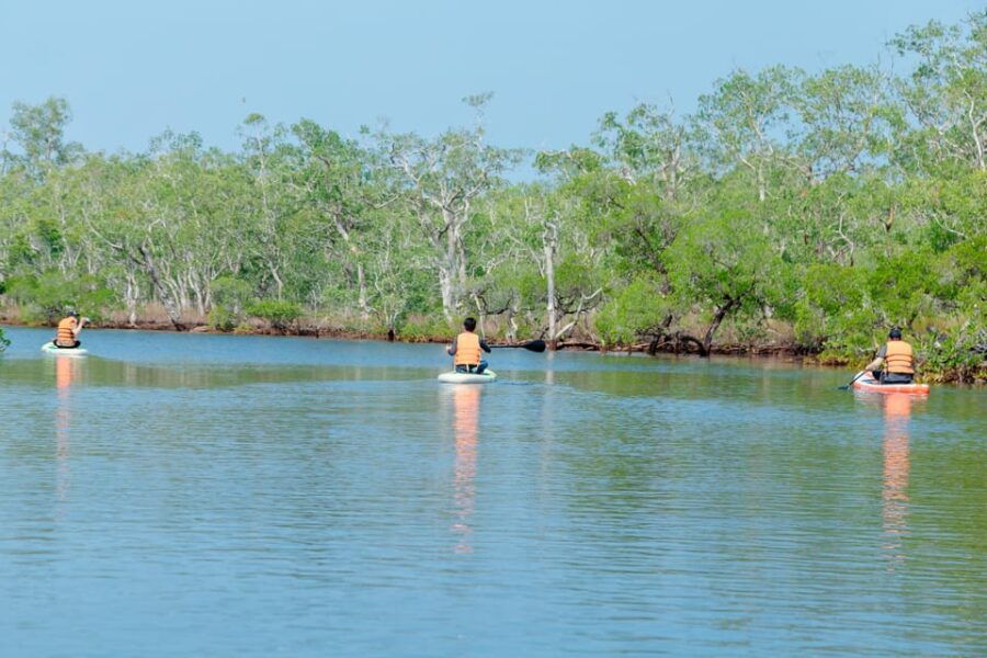 Phu Quoc Trekking and SUP on Rach Tram River - Overview of the Experience