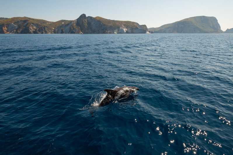 Ponza: Island & Palmarola Cruise With Swimming & Lunch