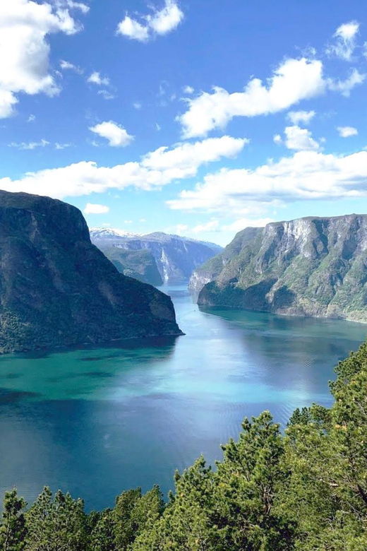 Private Guided Tour – Nærøyfjord Cruise and Flåm Railway