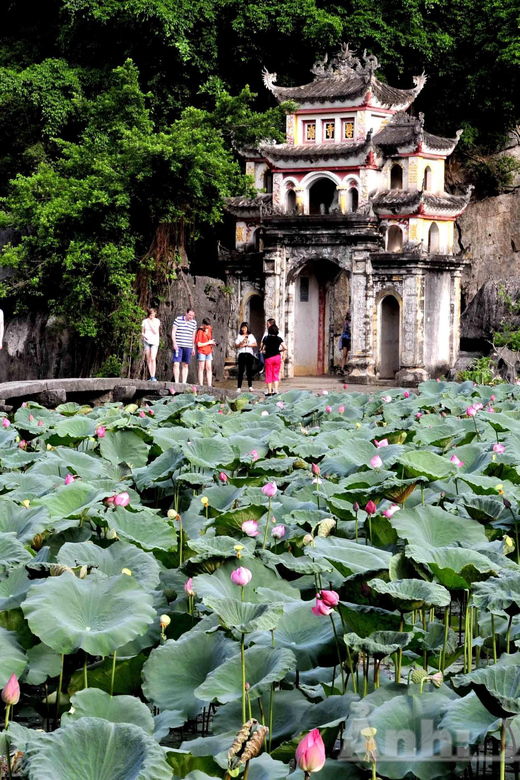 Private Luxury 1 Day Tour: Trang An, Mua Cave, Bich Dong