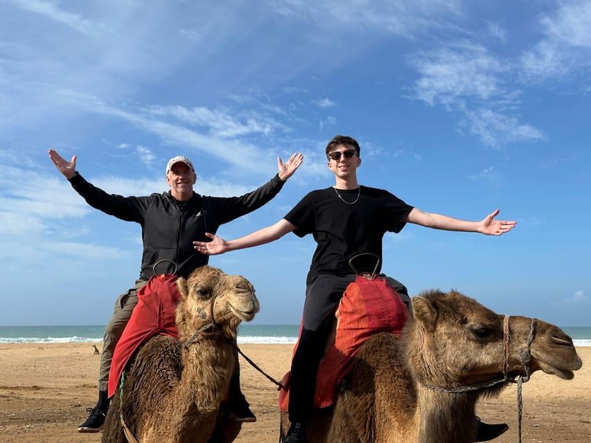 Private Tangier Tour From Ferry /Cruise Ship Including Lunch - Tour Overview and Pricing