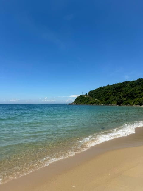 Private Tour: Cham Islands Snorkeling Trip - Tour Overview
