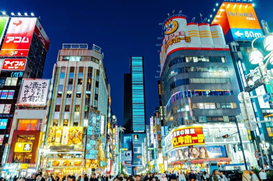 Private Walking Night Tour to Shinjuku Back Street - Tour Overview
