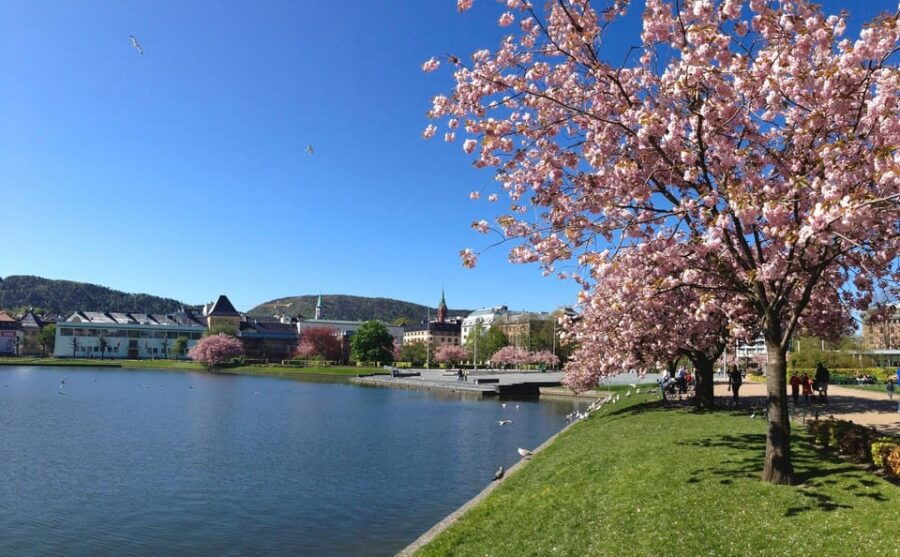 Private Walking Tour- Bergen Classics