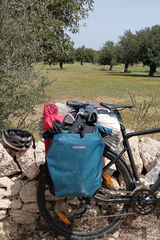 Rent a Gravel Bike in Palermo