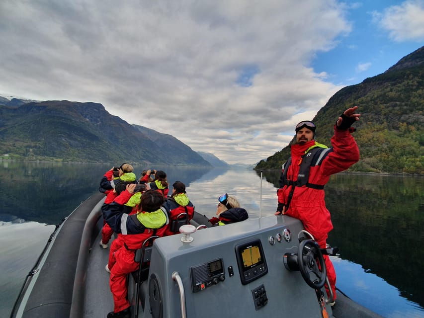 RIB Fjord Safari With Sider Tasting - Activity Overview