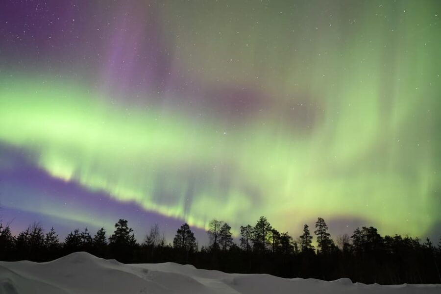 Rovaniemi: Aurora Hunting Tour - Overview of the Tour