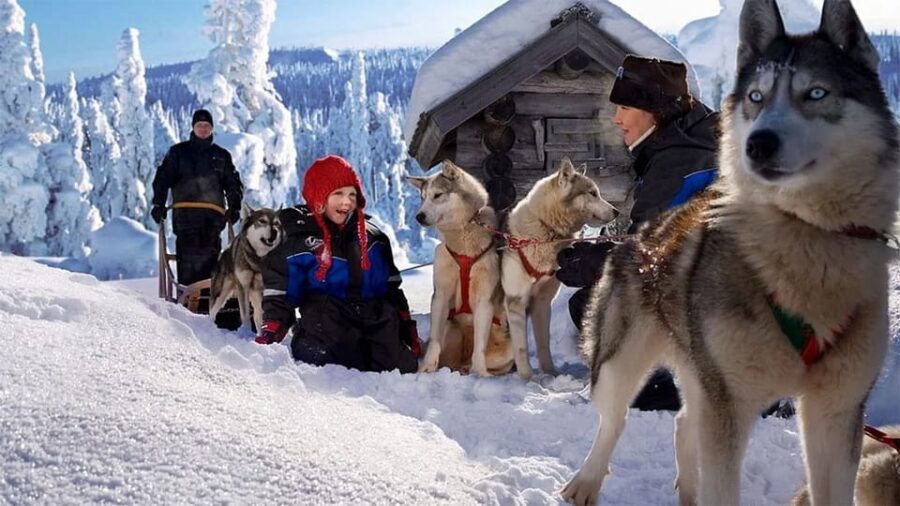 Rovaniemi: Family Friendly Husky Ride and Farm Visit - Overview of the Experience