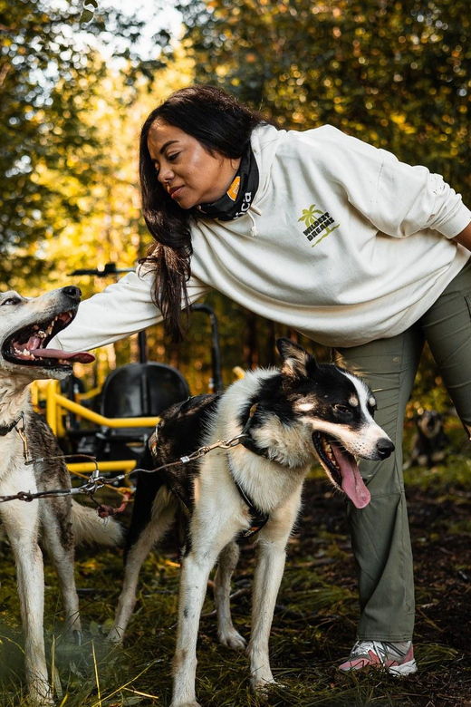 Rovaniemi: Husky Safari on Wheels