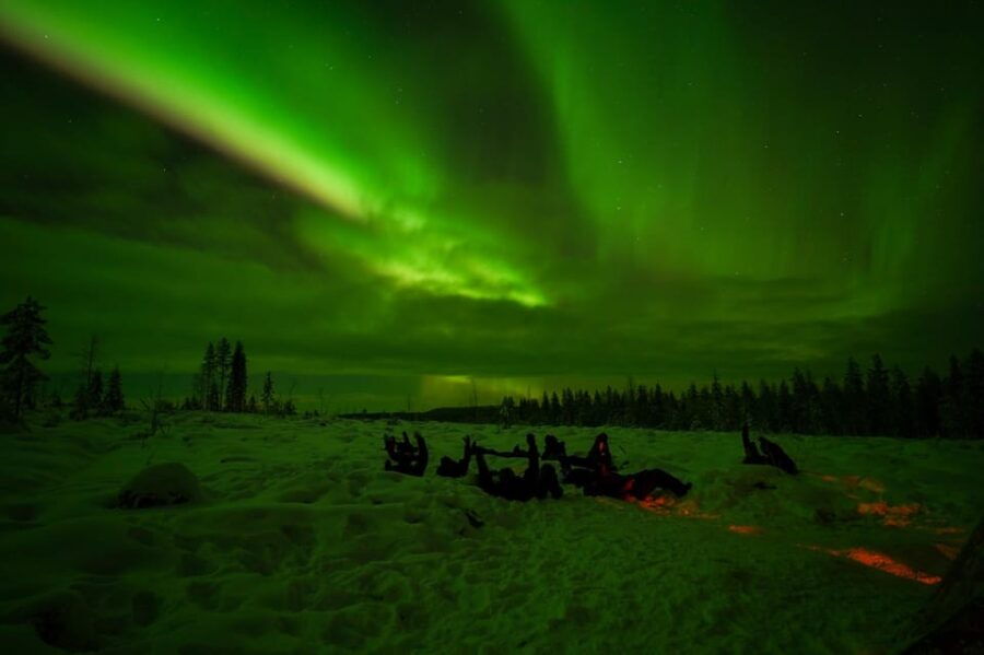 Rovaniemi: Northern Lights Tour at the Campfire
