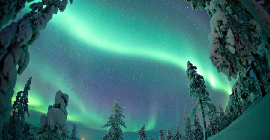 Rovaniemi: Northern Lights Tour With Electric Snowmobiles - Overview of the Tour