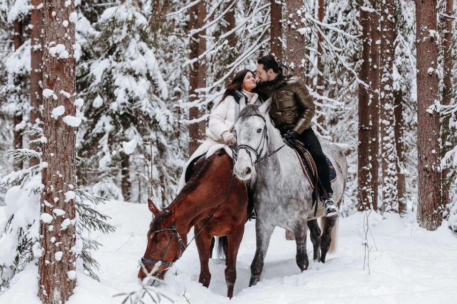 Rovaniemi: Winter Horse Riding in Arctic Nature - Overview of the Experience