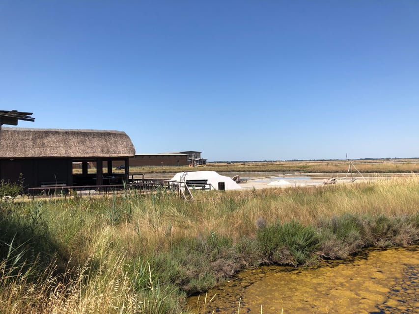 Salina Di Cervia: Traces of a Roman Salt Pan