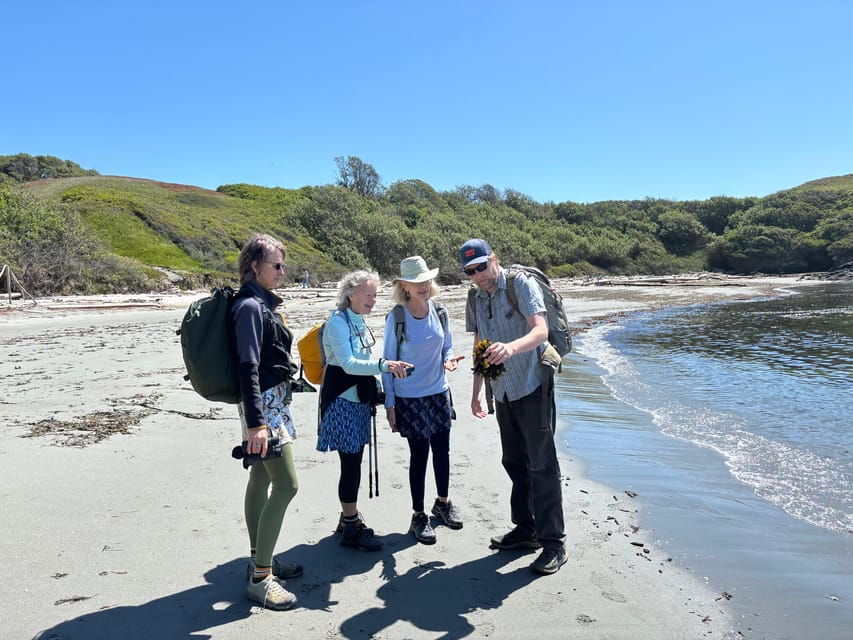 San Juan Island NP: Scenic Coast and Wildlife Hike