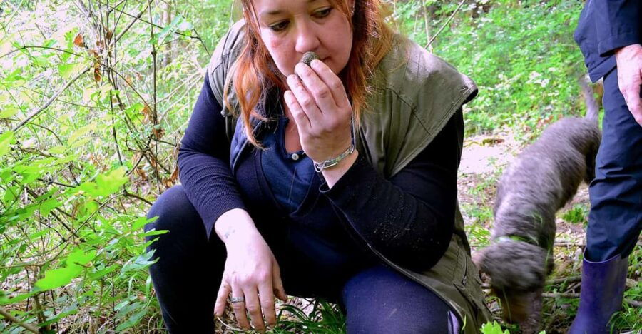 San Miniato: Truffle Hunting, Food, and Gourmet Experience