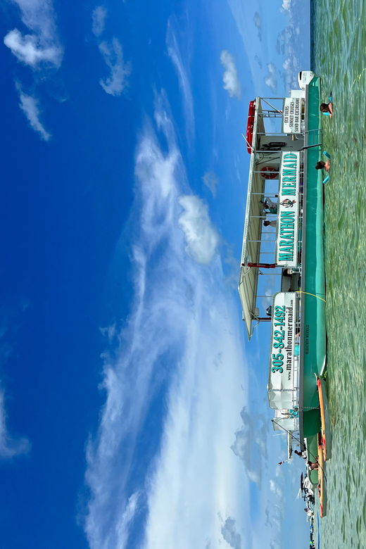 Sandbar Excursion - Vacation Like the Locals Do! - Overview of the Activity