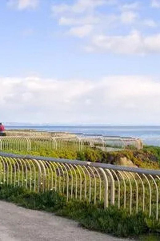 Santa Cruz: Guided Ebike Tour