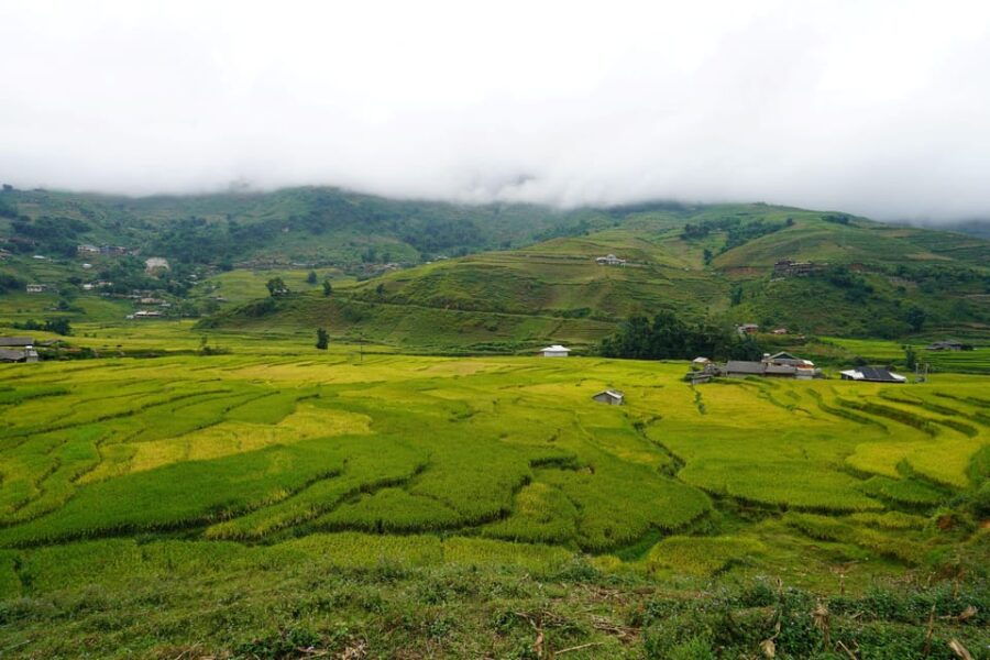 Sapa Trip to Y Linh Ho – Lao Chai – Ta Van – Cat Cat Village