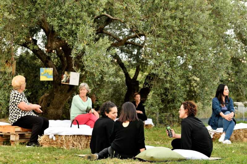 Sardinia: a Tour in the World of Extra Virgin Olive Oil