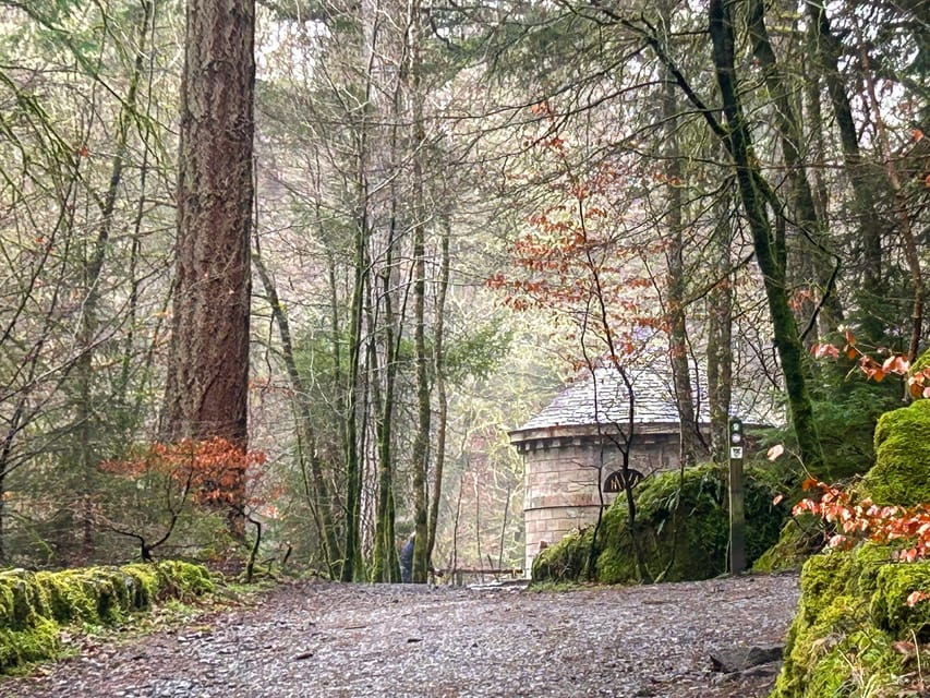 Scone Palace, Nature Walk and Whisky Experience Private Tour - Tour Highlights and Duration