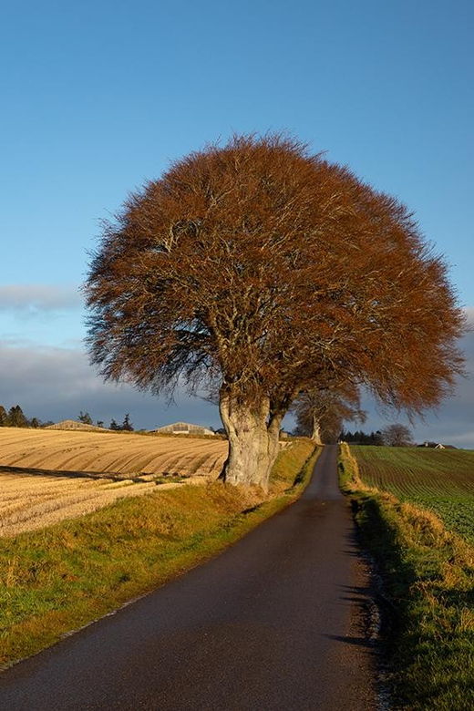 Scotland: Photography Group Tour With Pro Photographer - Tour Overview