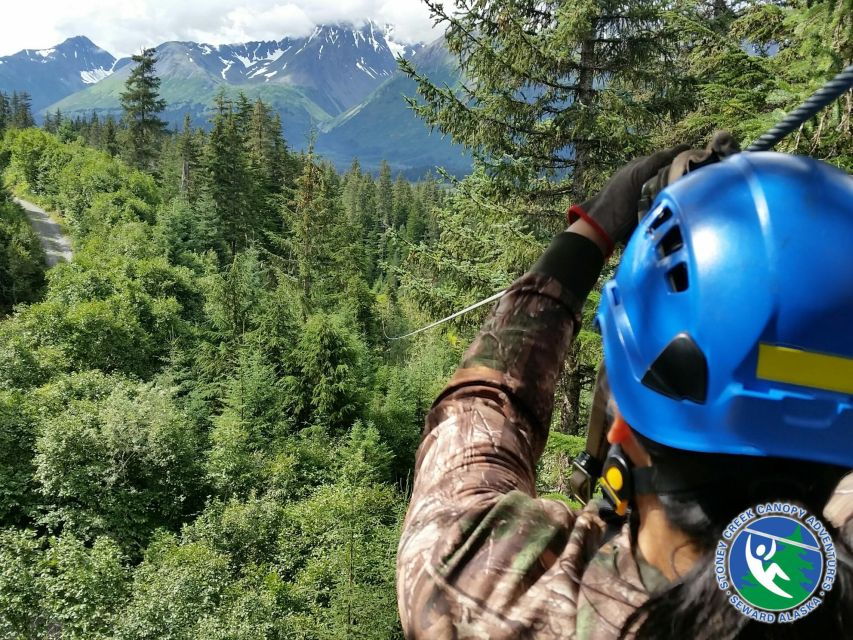 Seward: Stoney Creek Canopy Tour With Zipline - Overview and Pricing