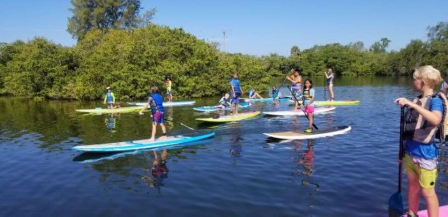 Siesta Key: Mangrove Kayak or Paddleboard Tour - Tour Overview and Pricing
