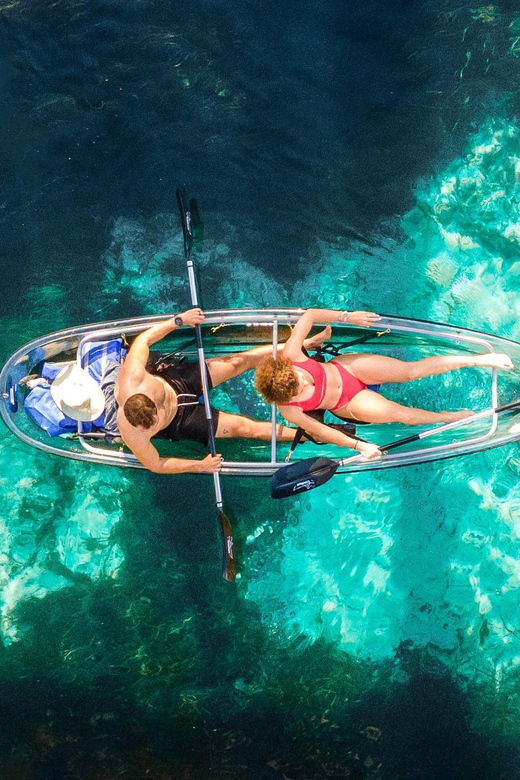Silver Springs: Clear Kayak Wildlife Tour - Tour Overview