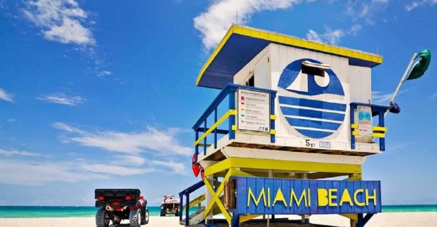 Small Group Miami and Everglades National Park 1-day Tour - Tour Overview