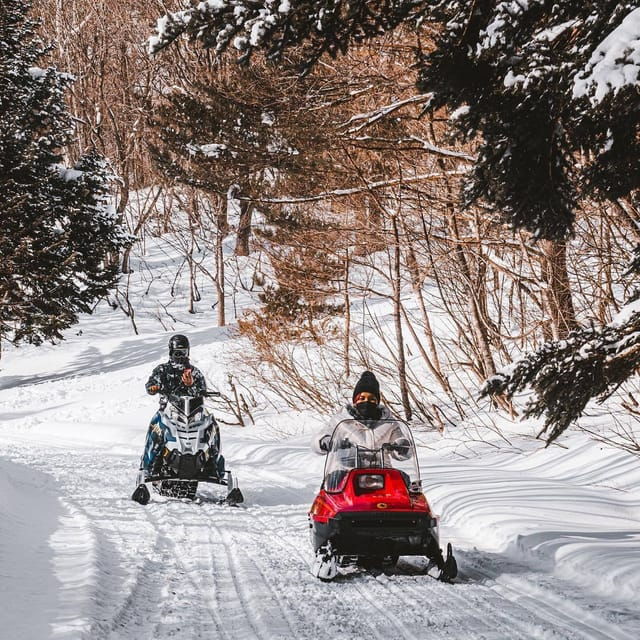 Snow Play, Sleds, Retro Snowmobiles