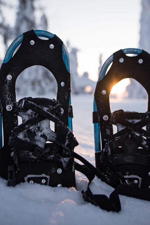 Snowshoeing in the Arctic Wilderness