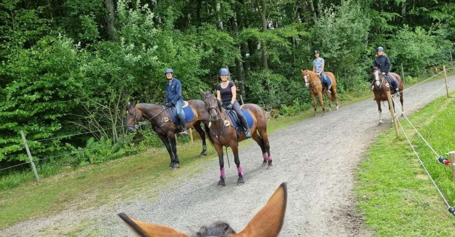 Söderåsen National Park: Horseback Riding Vacation 2 Nights - Overview of the Experience