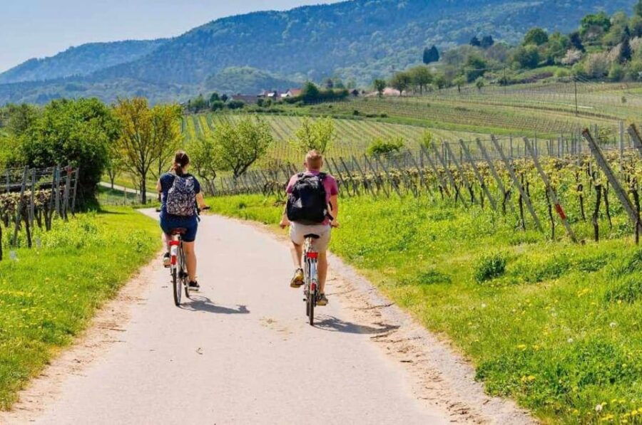 South Garda Easy Sunset E-Bike & Wine Tour
