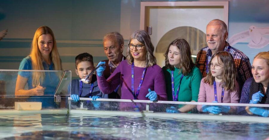 Speyer: SEA LIFE Behind the Scenes Tour