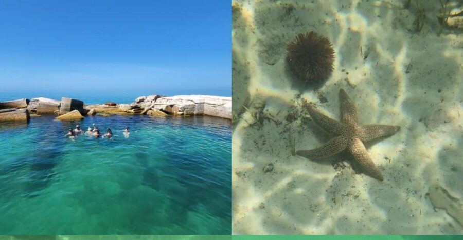 St Pete Beach: Private Boat Tour for Watersports Snorkeling - Tour Overview