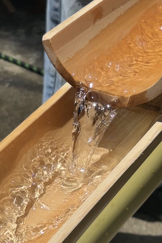 Summer Fun With Flowing Noodles