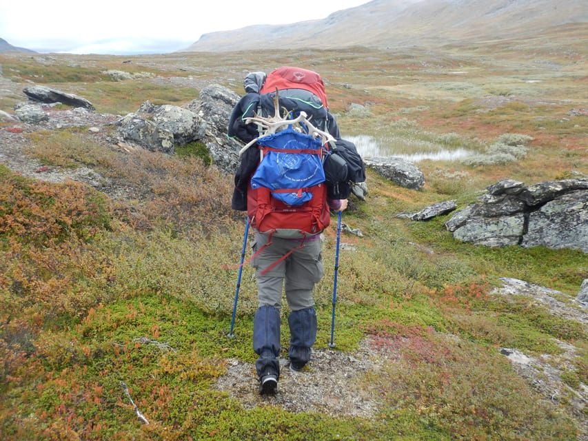 Swedish Lapland: a Trekking Week With Helicopterflight - Overview of Swedish Lapland Trekking
