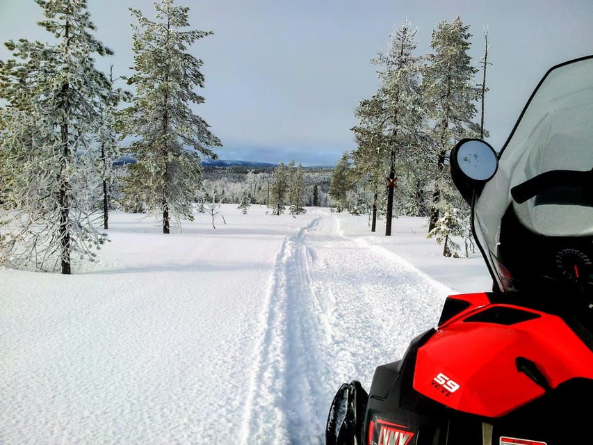 Swedish Lapland: Snowmobile Safari