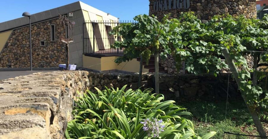 Tenerife: Guided Tour With Tasting of 6 Wines - Tour Overview